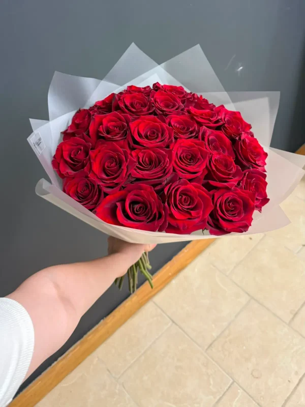 Large Ecuadorian red rose bouquet in translucent wrap against a dark wall